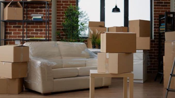 Full Licensing and Insurance Compliance for Furniture Movers RAK